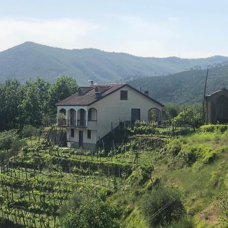 Villa Elena Mezzanego Екстериор снимка