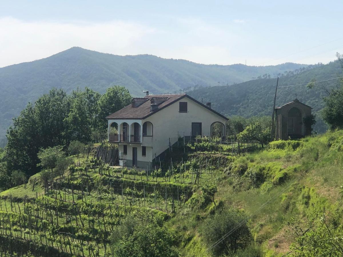 Villa Elena Mezzanego Екстериор снимка
