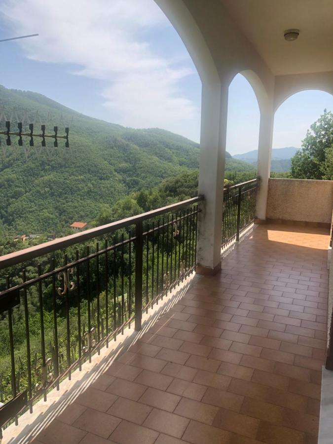 Villa Elena Mezzanego Екстериор снимка