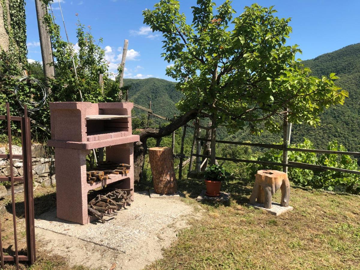Villa Elena Mezzanego Екстериор снимка