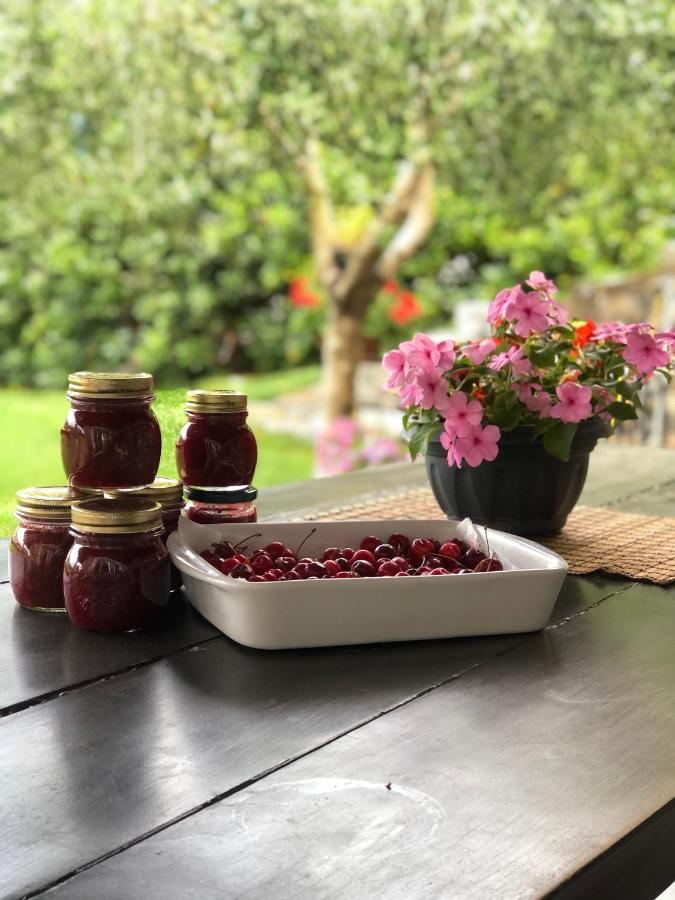 Villa Elena Mezzanego Екстериор снимка