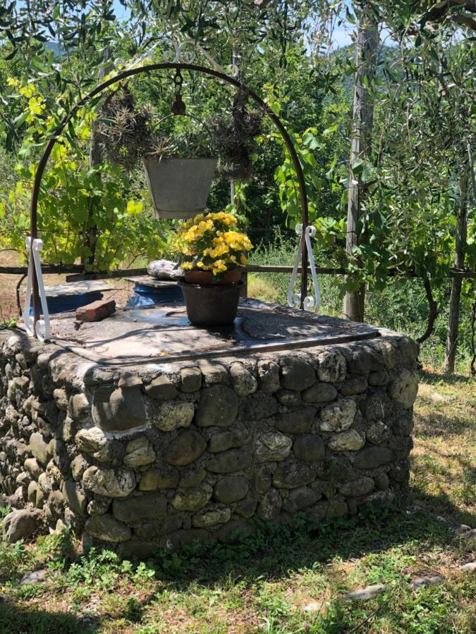 Villa Elena Mezzanego Екстериор снимка