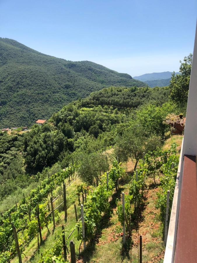 Villa Elena Mezzanego Екстериор снимка